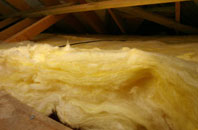Walden pitch roof insulation